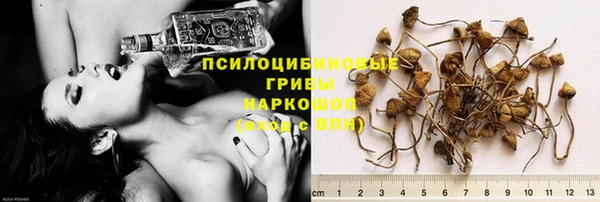 стафф Инсар