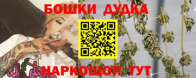 гашик Кинель