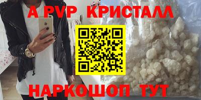 гашик Кинель