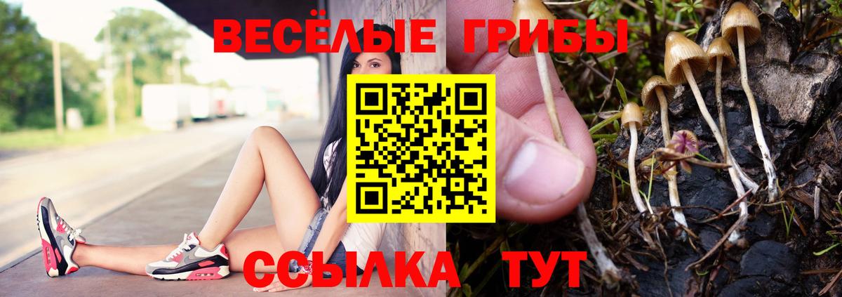 Псилоцибиновые грибы мицелий  продажа наркотиков  Кандалакша  Вход с VPN 